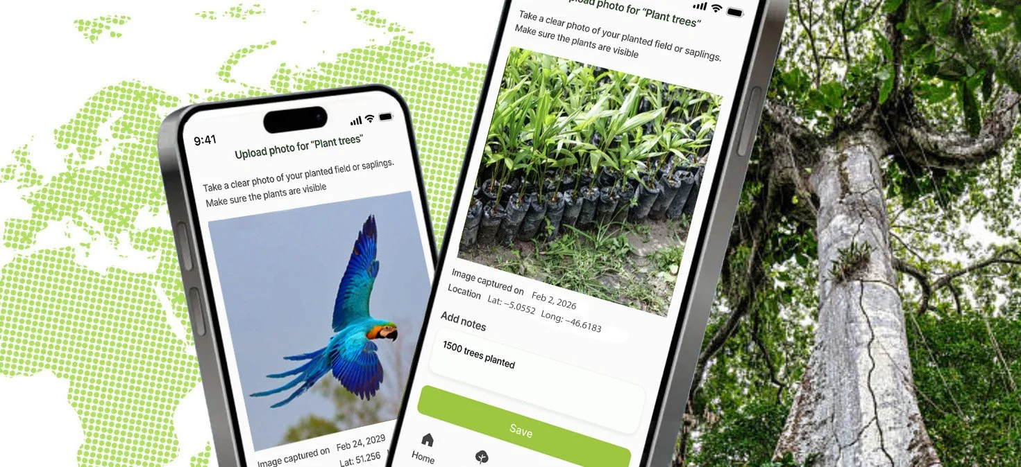 Phones showing the ARARA climate finance platform against a rainforest backdrop