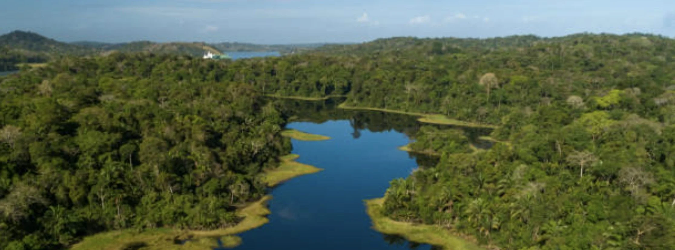 Aerial view of forest and water in the Panama Canal watershed