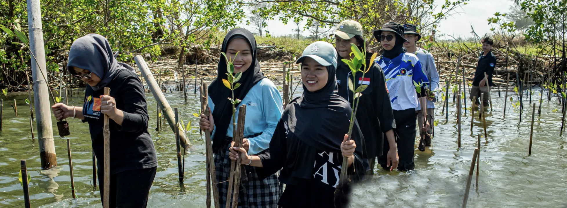 Community members planting mangrove seedlings in shallow water